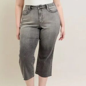 Judy Blue Skinny Fit Capri 18